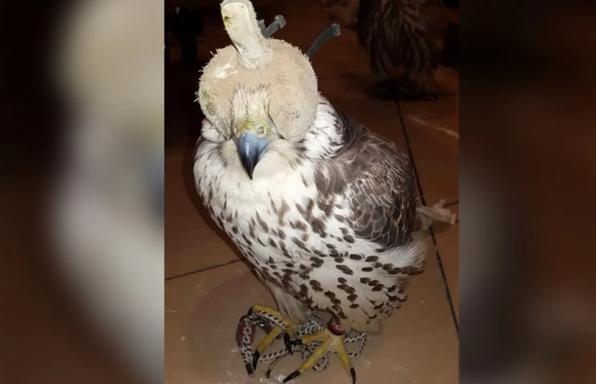 Фото КНБ РК