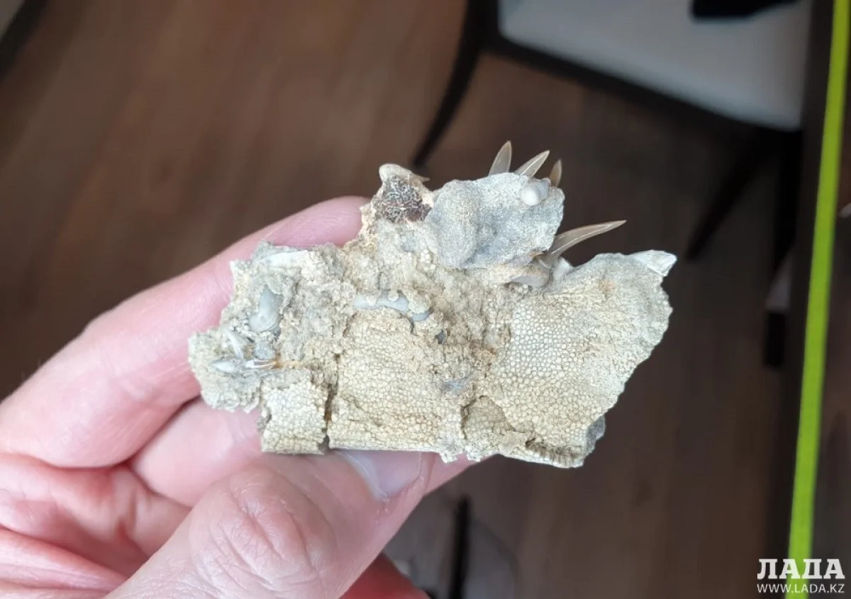 Фото предоставлено Владмиром Ярцевым