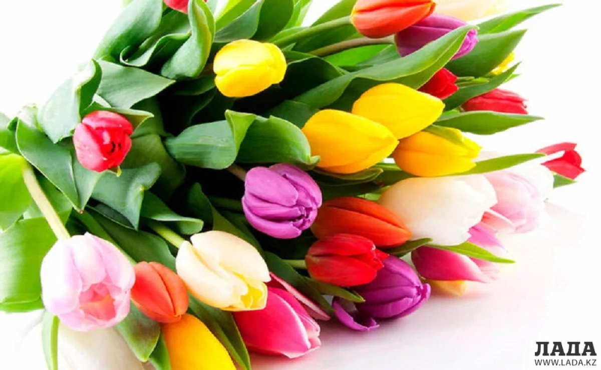 Фото с сайта tv.ua