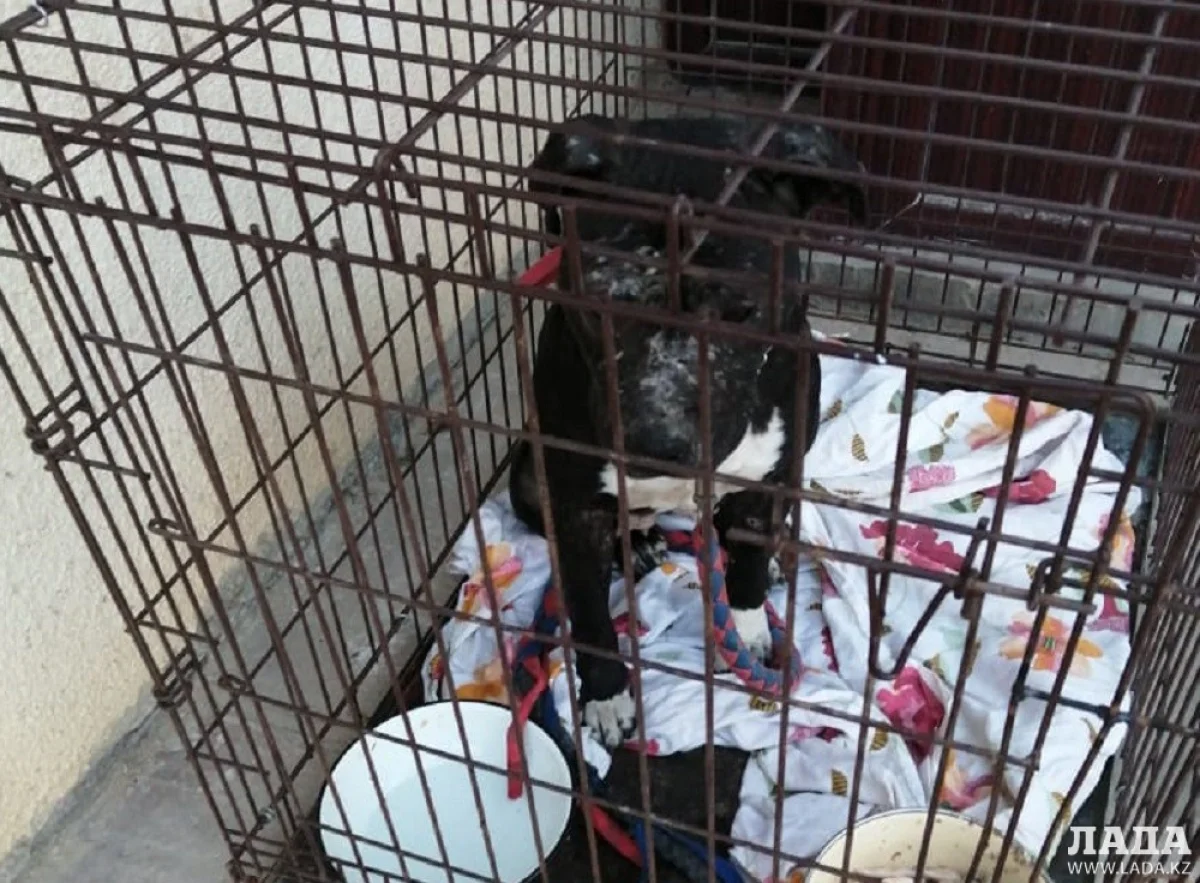 Фото предоставила Ольга Бахтеева