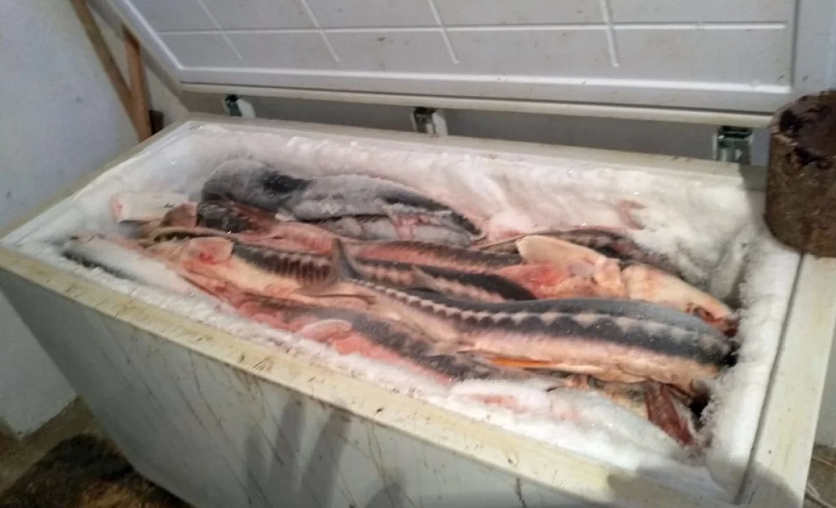 Фото из доступных источников