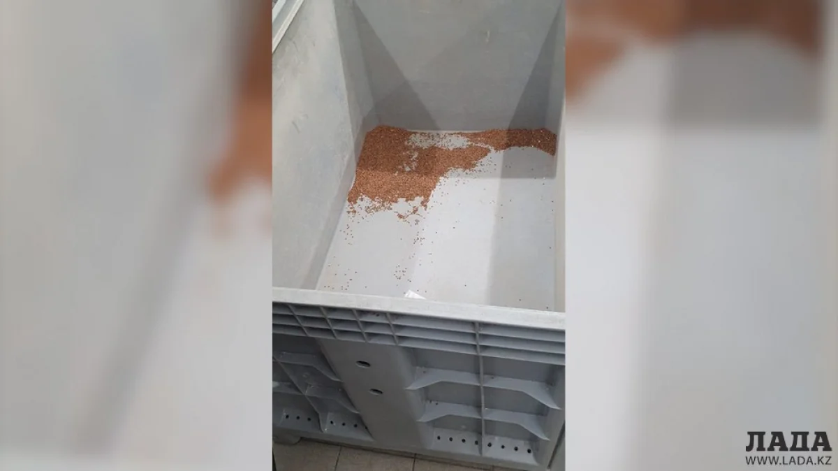 Фото пользователей сайта||news_pic_more|<!--TBegin--><a href="https://www.lada.kz/uploads/posts/2020-03/1584076466_a8aa4136-f74b-4ec5-a4b6-946505a209be.jpg" onclick="return hs.expand(this)" ><img align="left" src="https://www.lada.kz/uploads/posts/2020-03/thumbs/1584076466_a8aa4136-f74b-4ec5-a4b6-946505a209be.jpg" alt='Владельцы супермаркетов Актау просят население не поддаваться панике и не создавать ажиотаж' title='Владельцы супермаркетов Актау просят население не поддаваться панике и не создавать ажиотаж'  /></a><!--TEnd--><br /><!--TBegin--><a href="https://www.lada.kz/uploads/posts/2020-03/1584076493_276ecd94-dfe7-43c5-b1e6-218f6240c771.jpg" onclick="return hs.expand(this)" ><img align="left" src="https://www.lada.kz/uploads/posts/2020-03/thumbs/1584076493_276ecd94-dfe7-43c5-b1e6-218f6240c771.jpg" alt='Владельцы супермаркетов Актау просят население не поддаваться панике и не создавать ажиотаж' title='Владельцы супермаркетов Актау просят население не поддаваться панике и не создавать ажиотаж'  /></a><!--TEnd-->