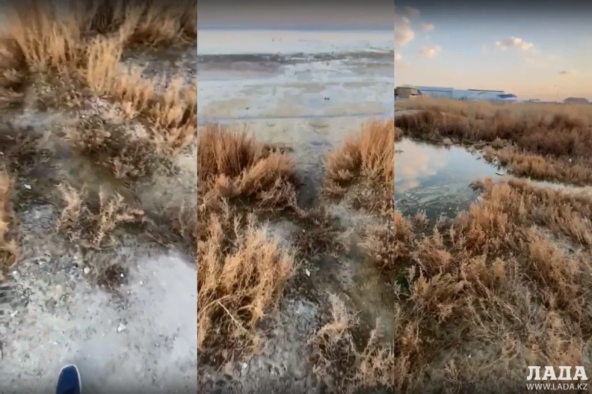 Коллаж из скриншотов видеоматериала