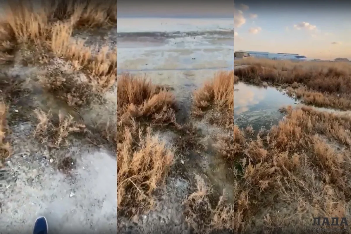 Коллаж из скриншотов видеоматериала