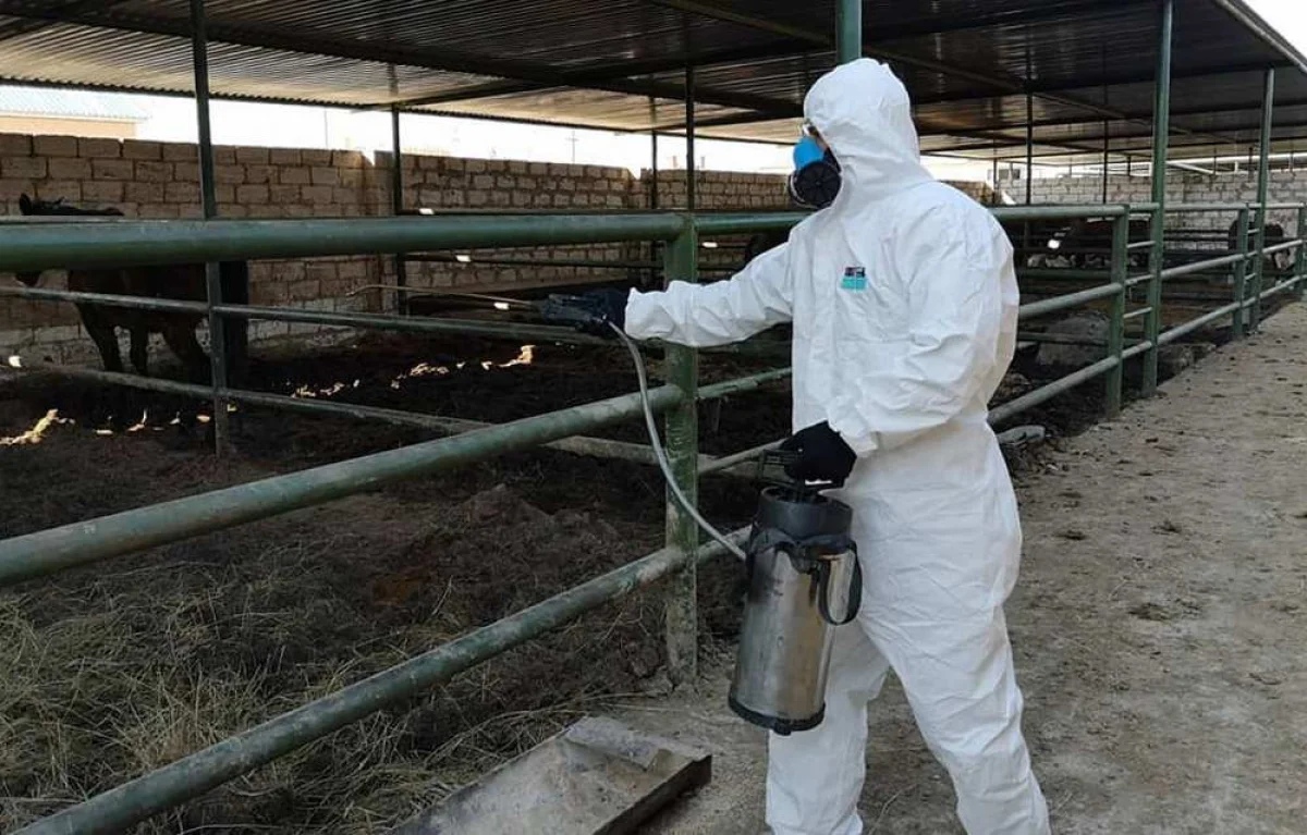 Фото пресс-службы акима Актау