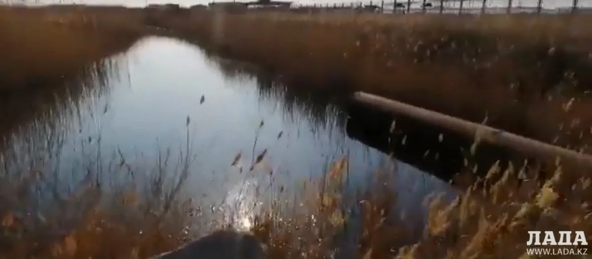 Скриншот видеоматериала