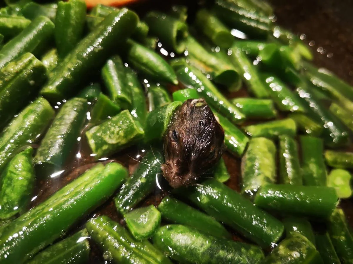 Фото очевидцев