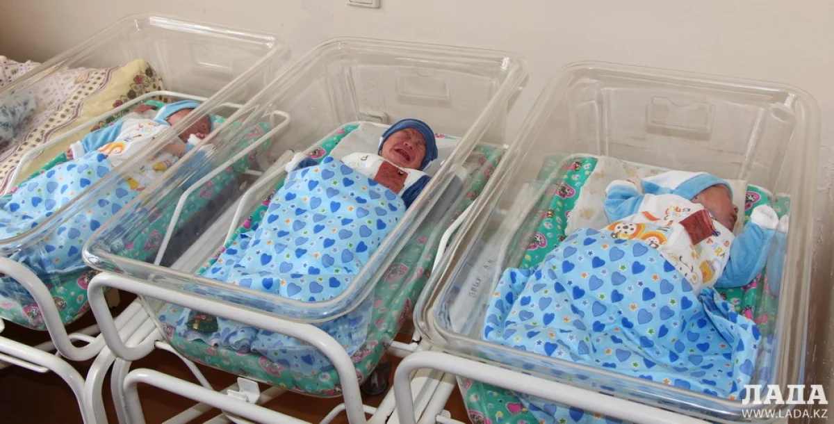 Новорожденные. Фото из архива Lada.kz