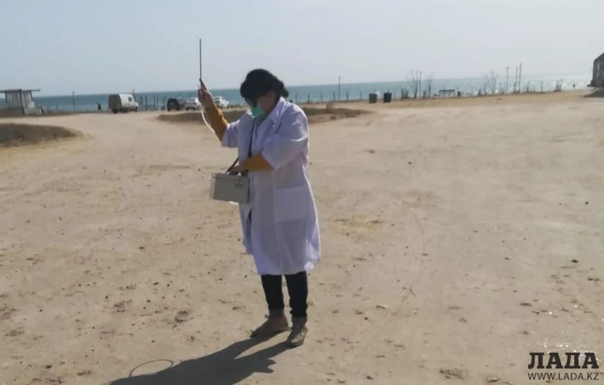 Фото пресс-службы департамента экологии Мангистау