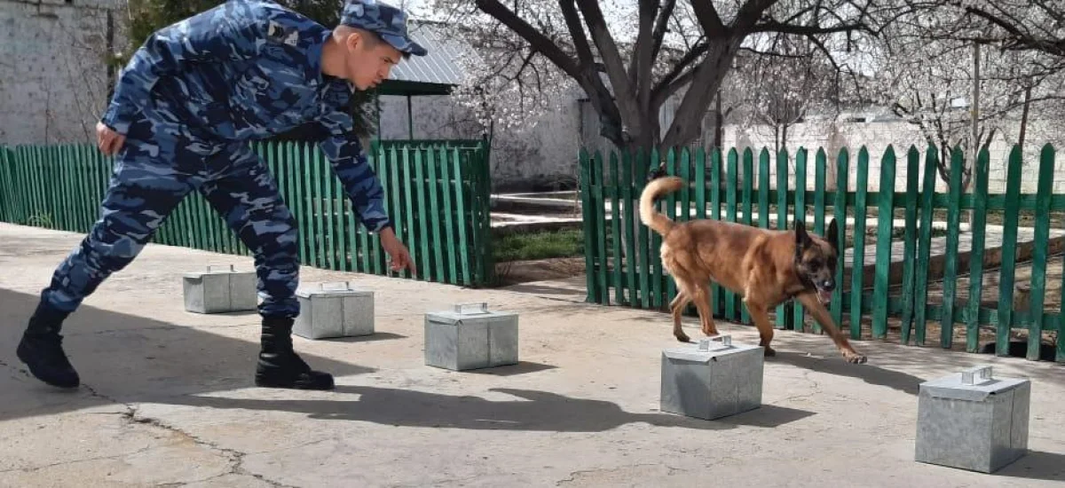 Фото Пресс-службы ведомства