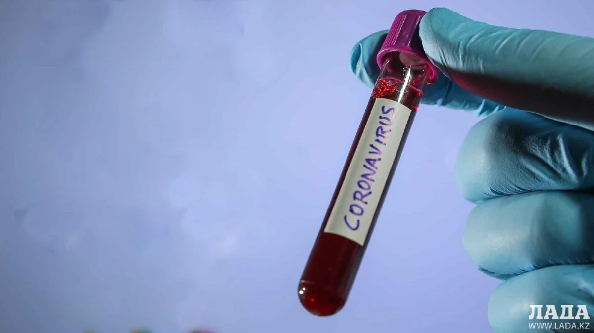 Иллюстративное фото с сайта dailystorm.ru