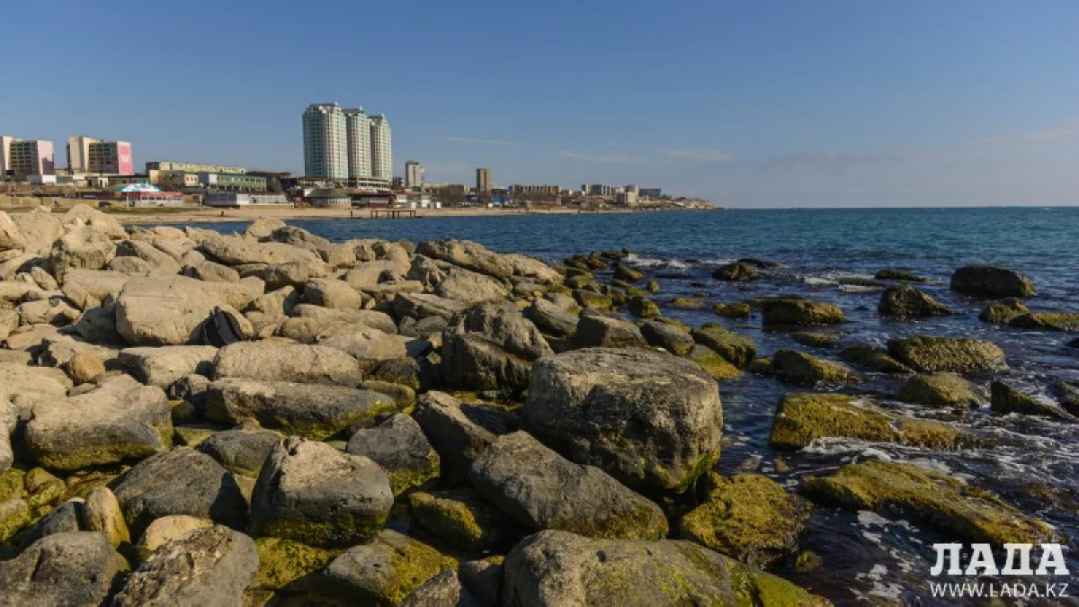 Фото из архива Lada.kz