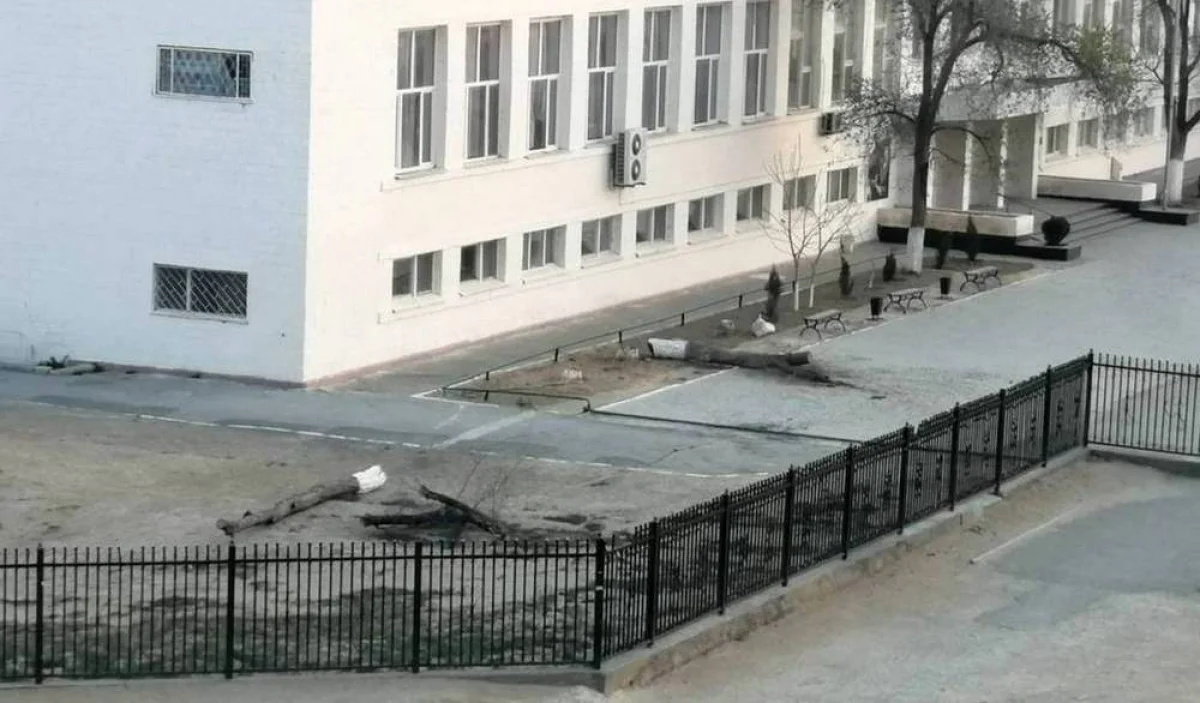 Фото пользователя Lada.kz