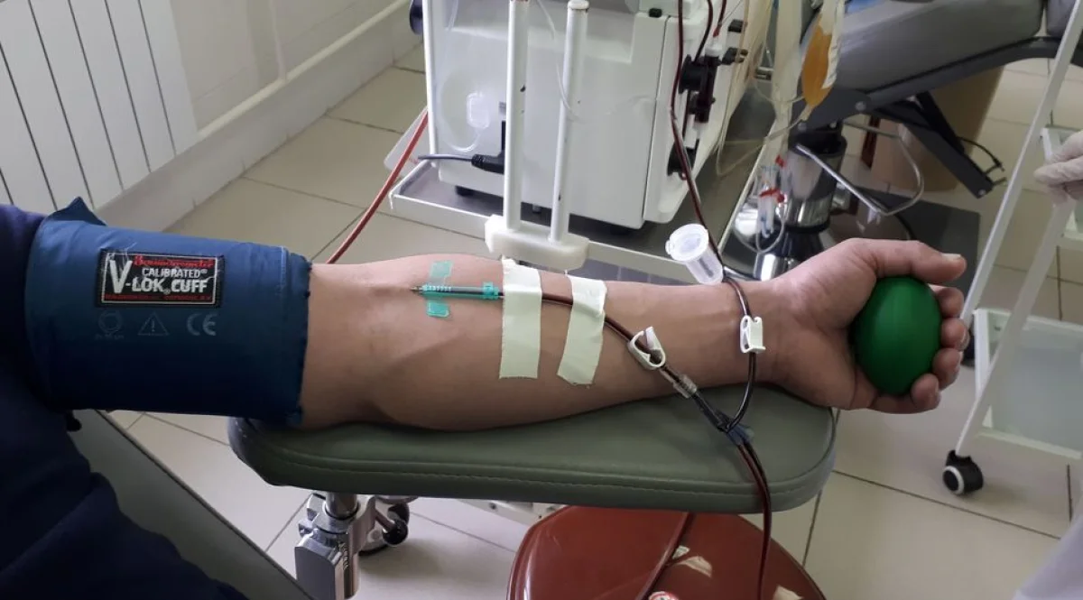 Сдача крови. Фото предоставлено пресс-службой управления здравоохранения