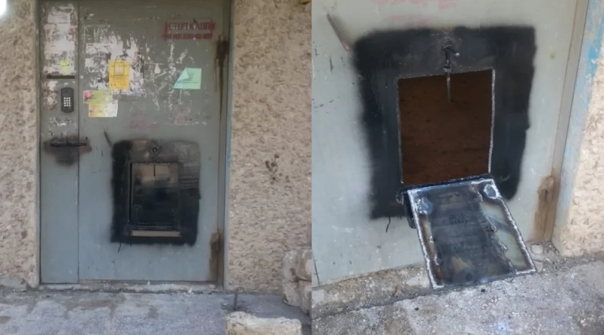 Фото из социальных сетей