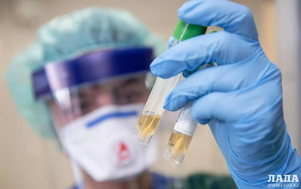 Иллюстративное фото из открытых источников