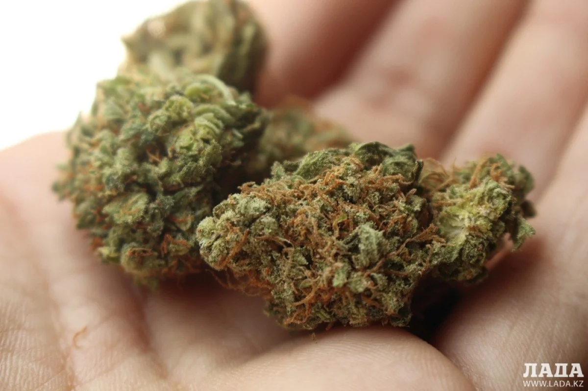 Иллюстративное фото с сайта esp.md