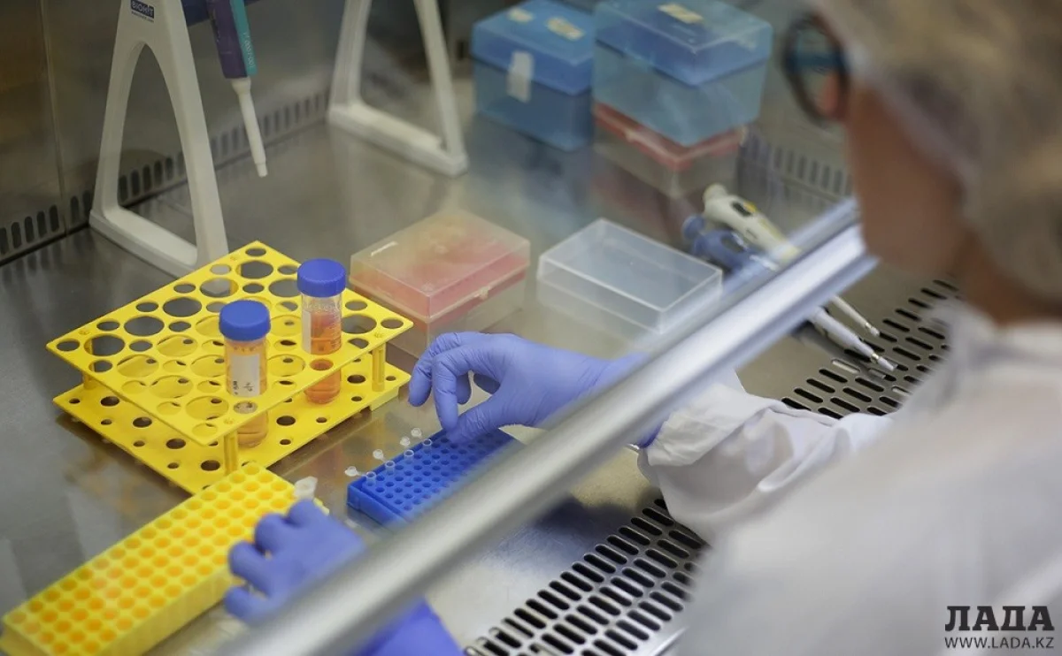 Иллюстративное фото с сайта rbc.ru