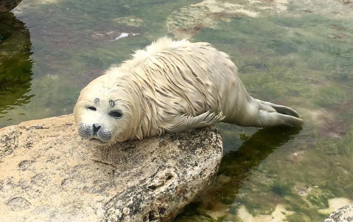 Фото жительницы Актау