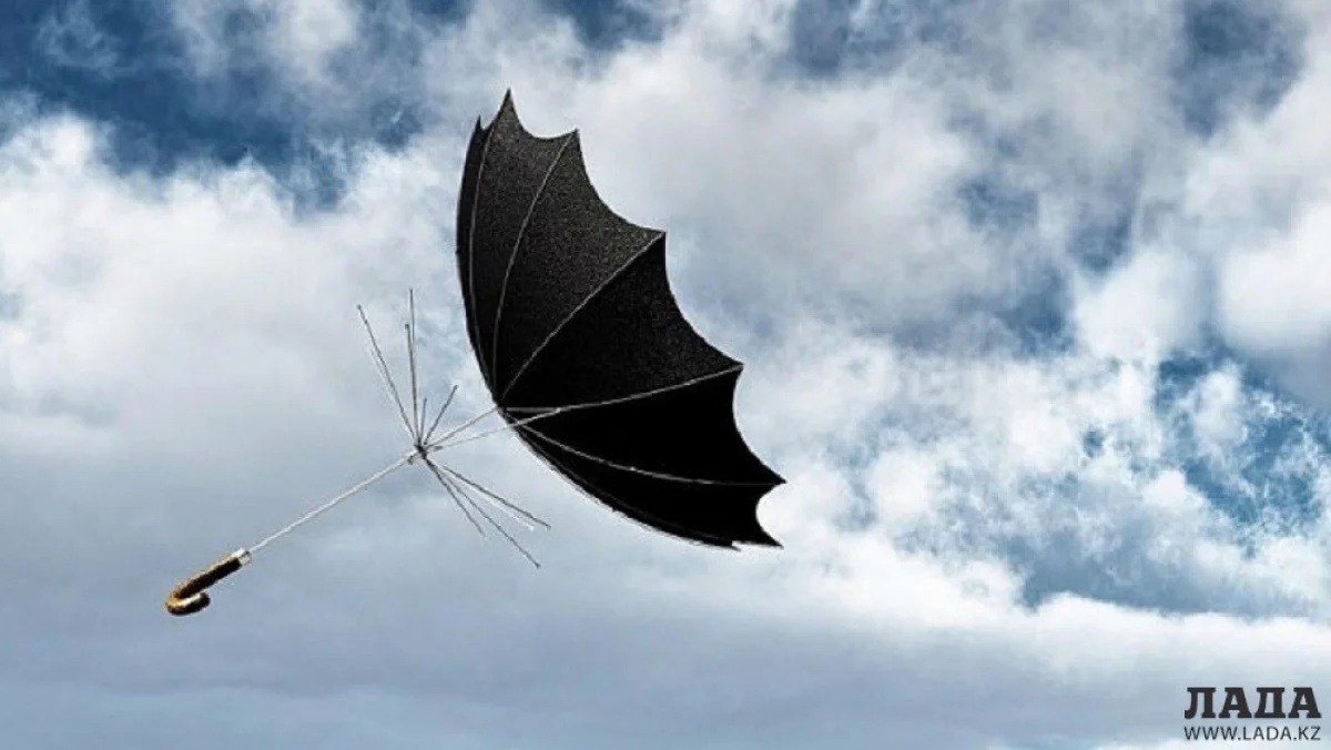 Иллюстративное фото