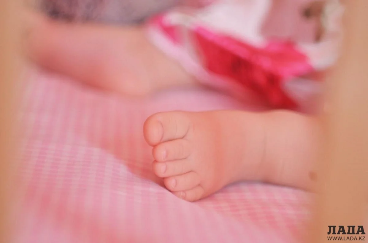 Иллюстративное фото из открытых источников