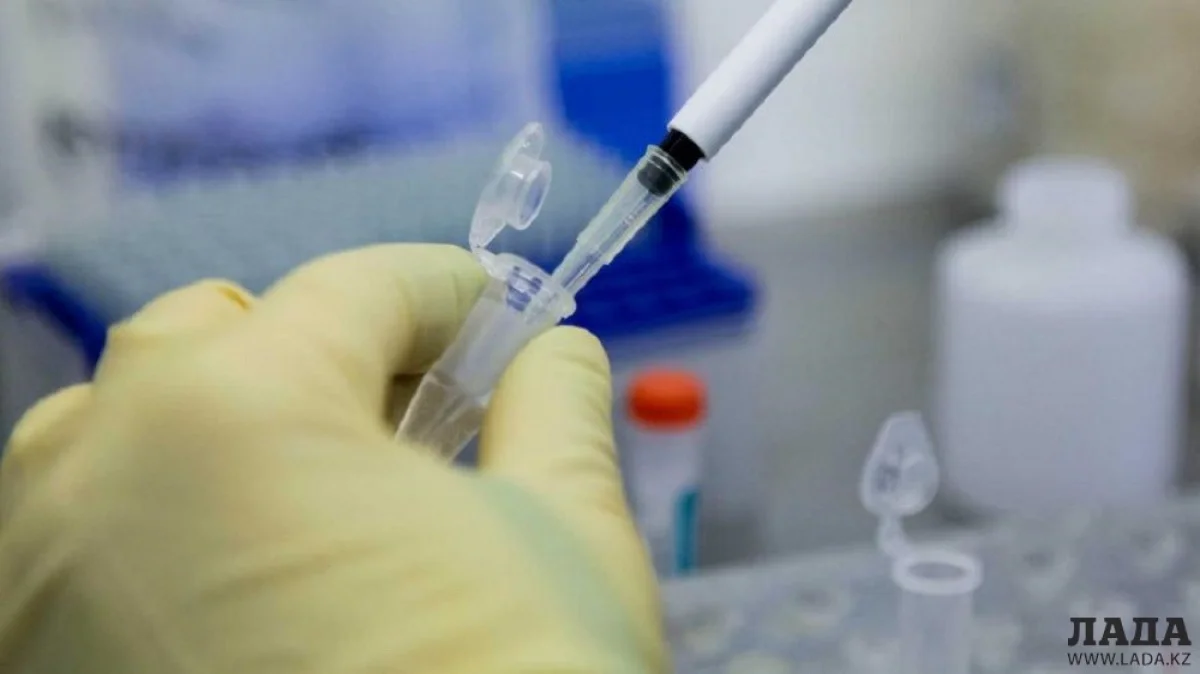 Иллюстративное фото из открытых источников