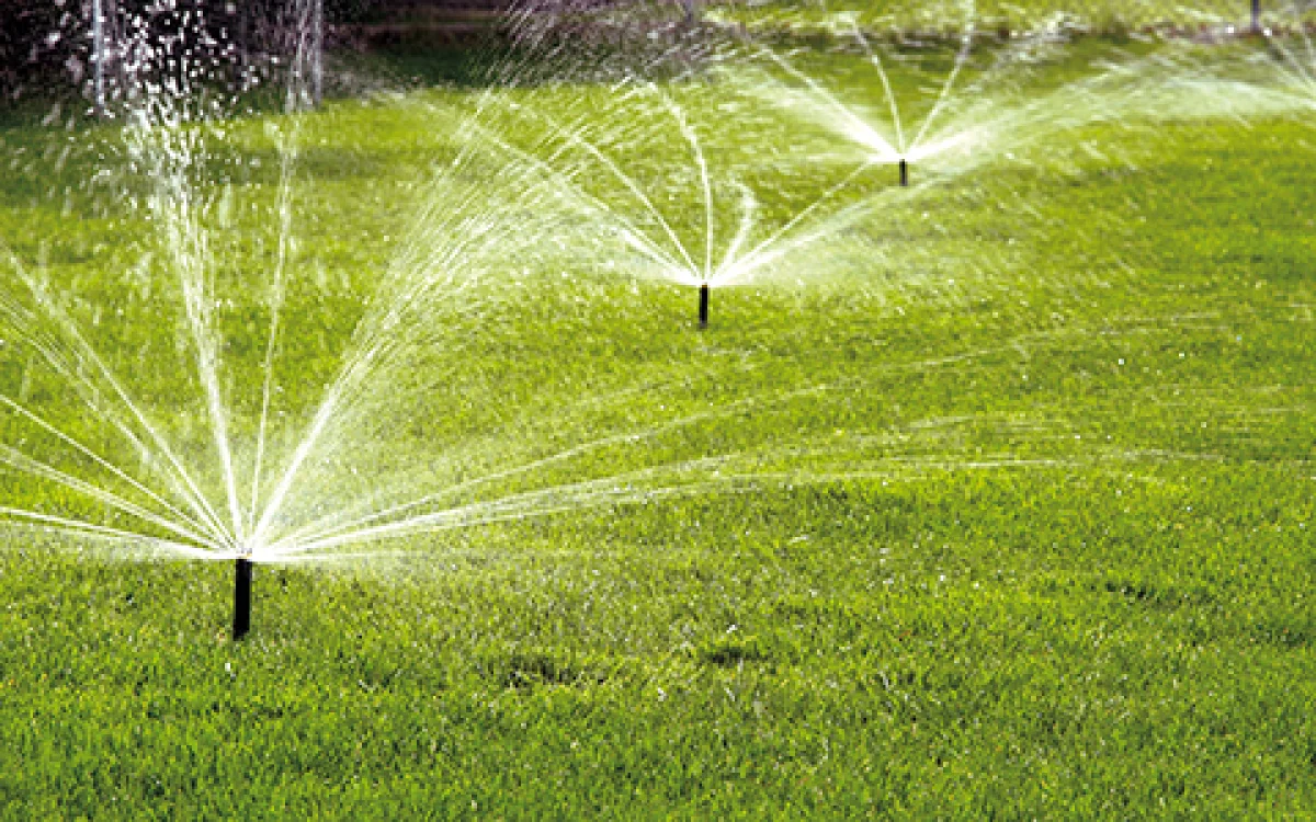 Иллюстративное фото