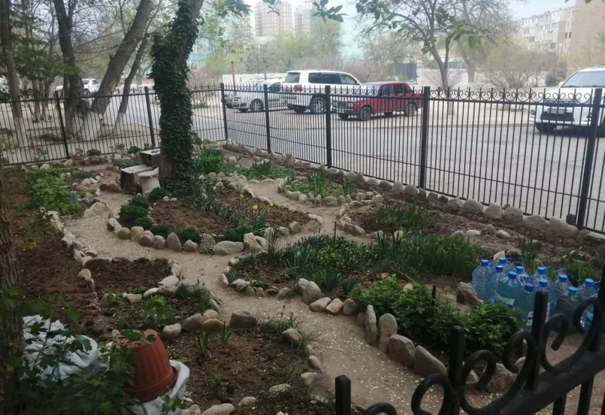 Фото предоставила соседка Ирины Евгеньевны - Ольга