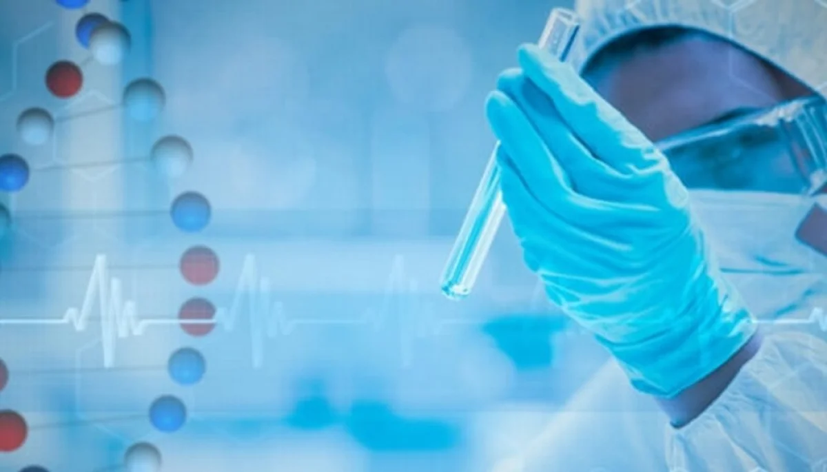 Фото из доступных источников