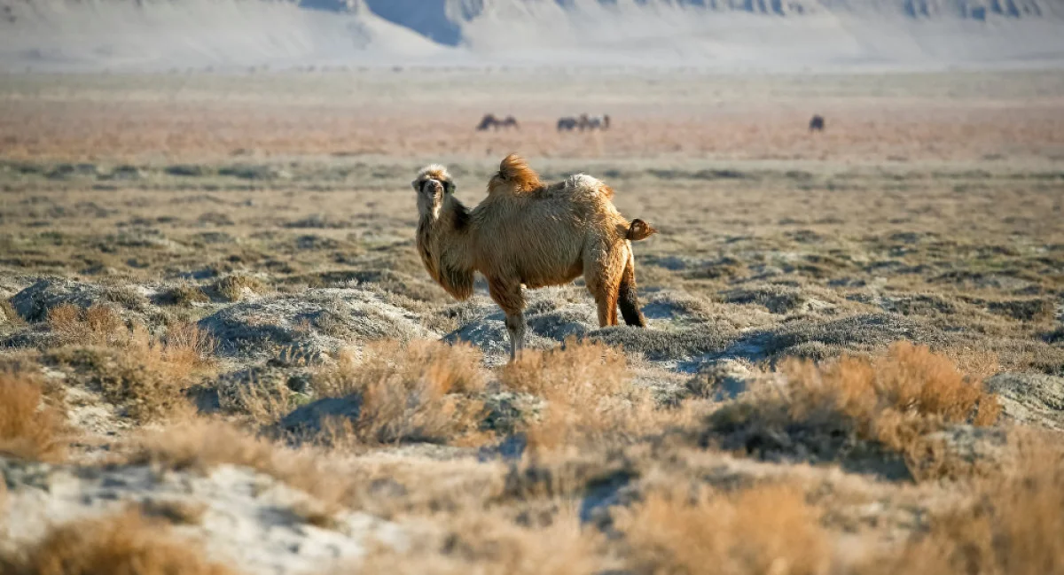 Иллюстративное фото