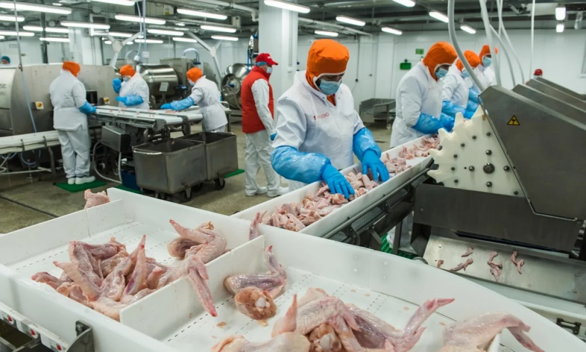 Фото из доступных источников