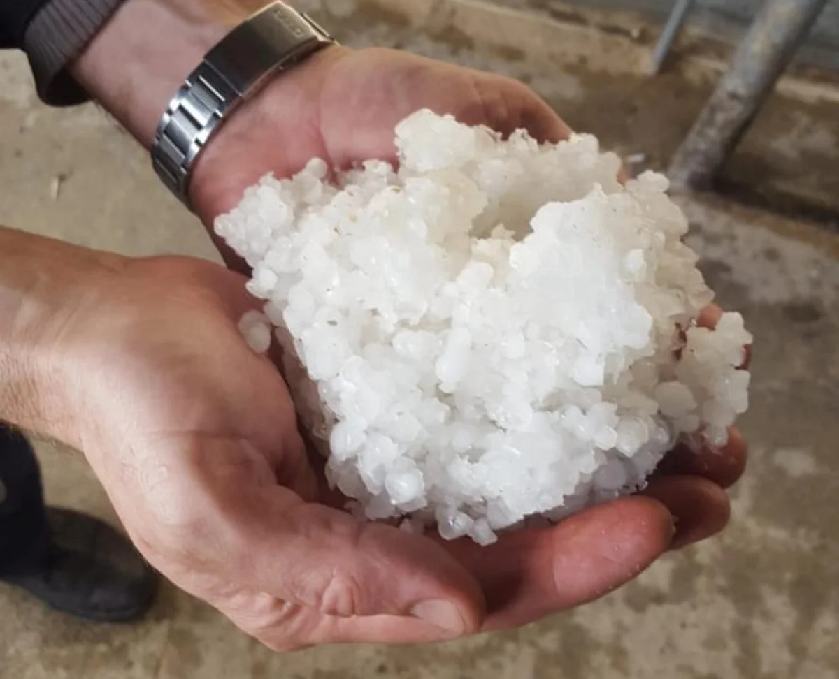 Фото автора видео