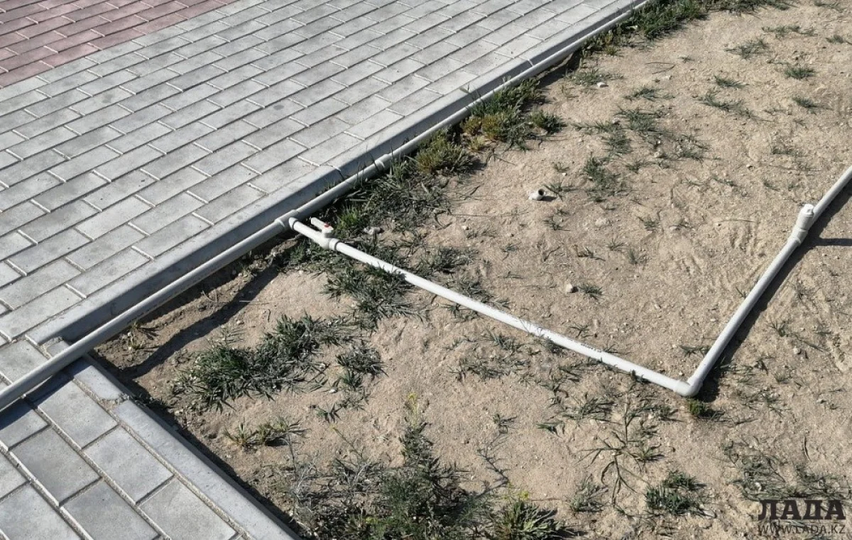 Фото пользователей Сети