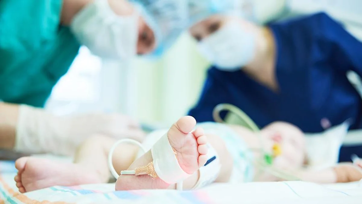 Иллюстративное фото