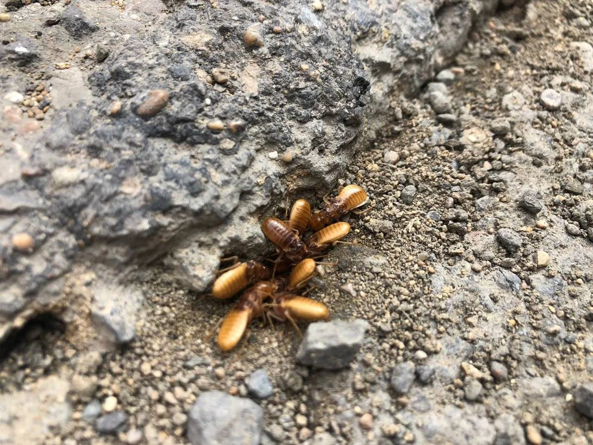 Фото очевидцев