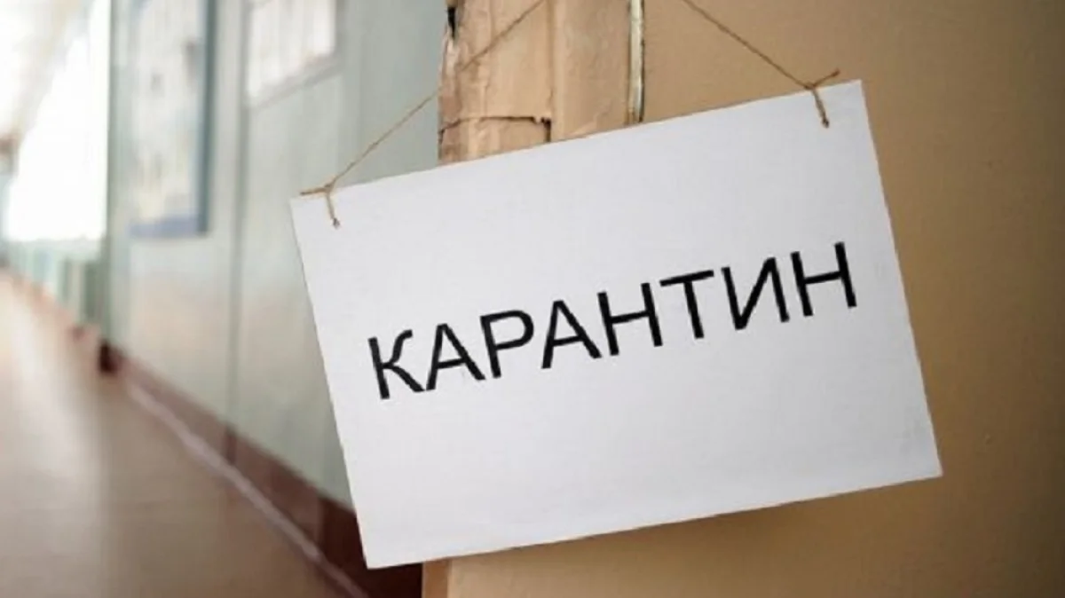 Иллюстративное фото