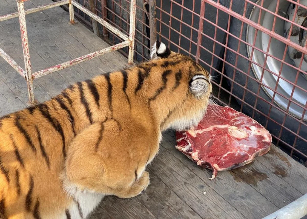 Фото предоставили супруги Юсуповы