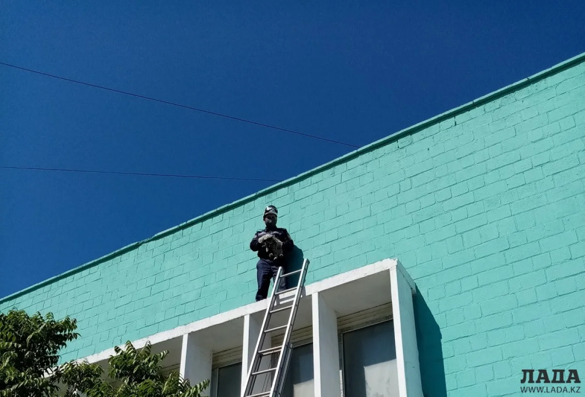 Фото предоставлено пресс-службой ДЧС Мангистауской области