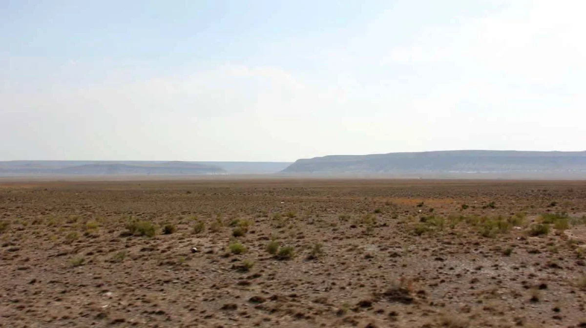 Фото из доступных источников