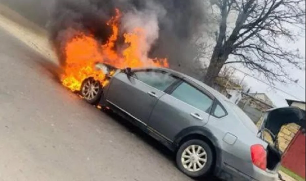 Иллюстрация к материалу