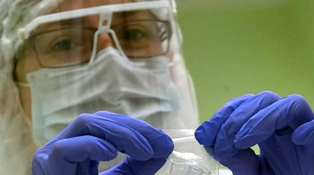 Фото из доступных источников