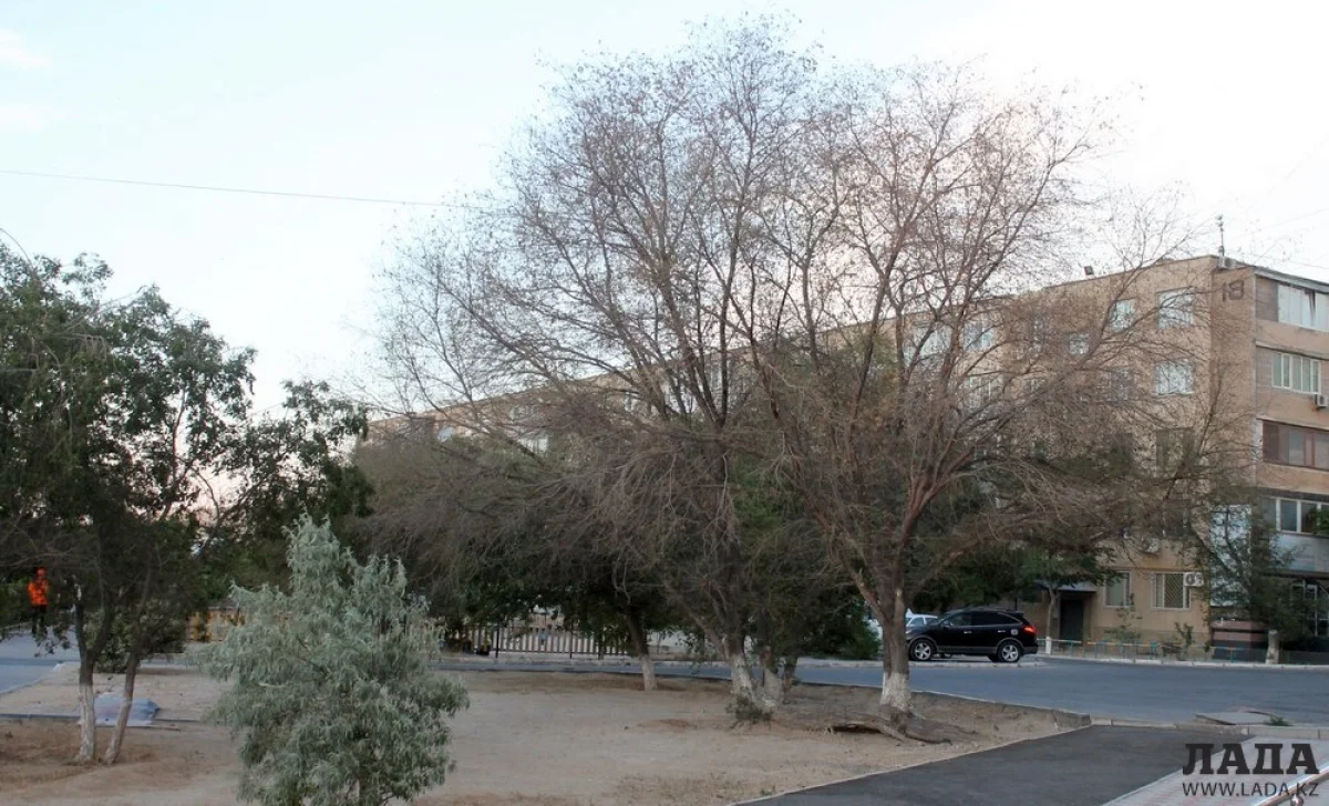 Фото из архива Lada.kz