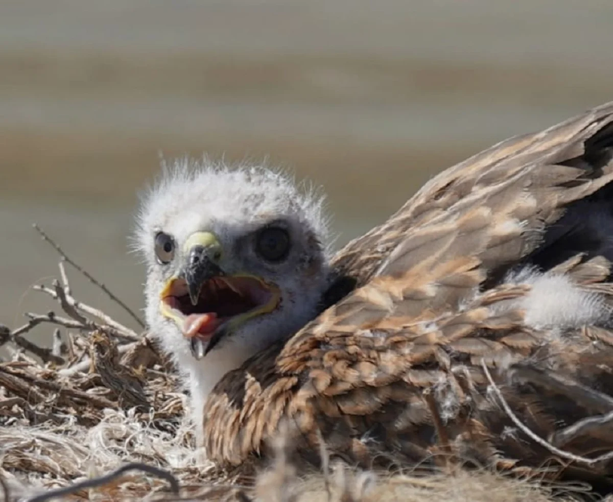 Фото Вячеслава Никишина