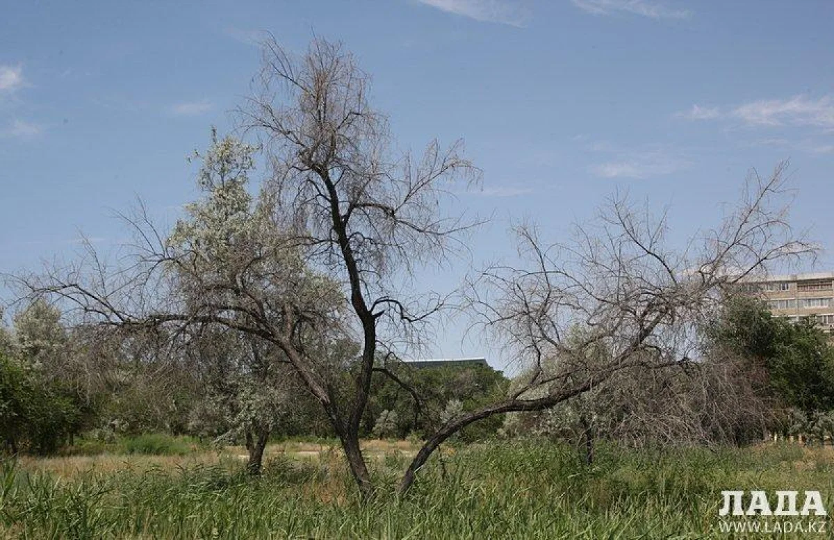 Фото из архива