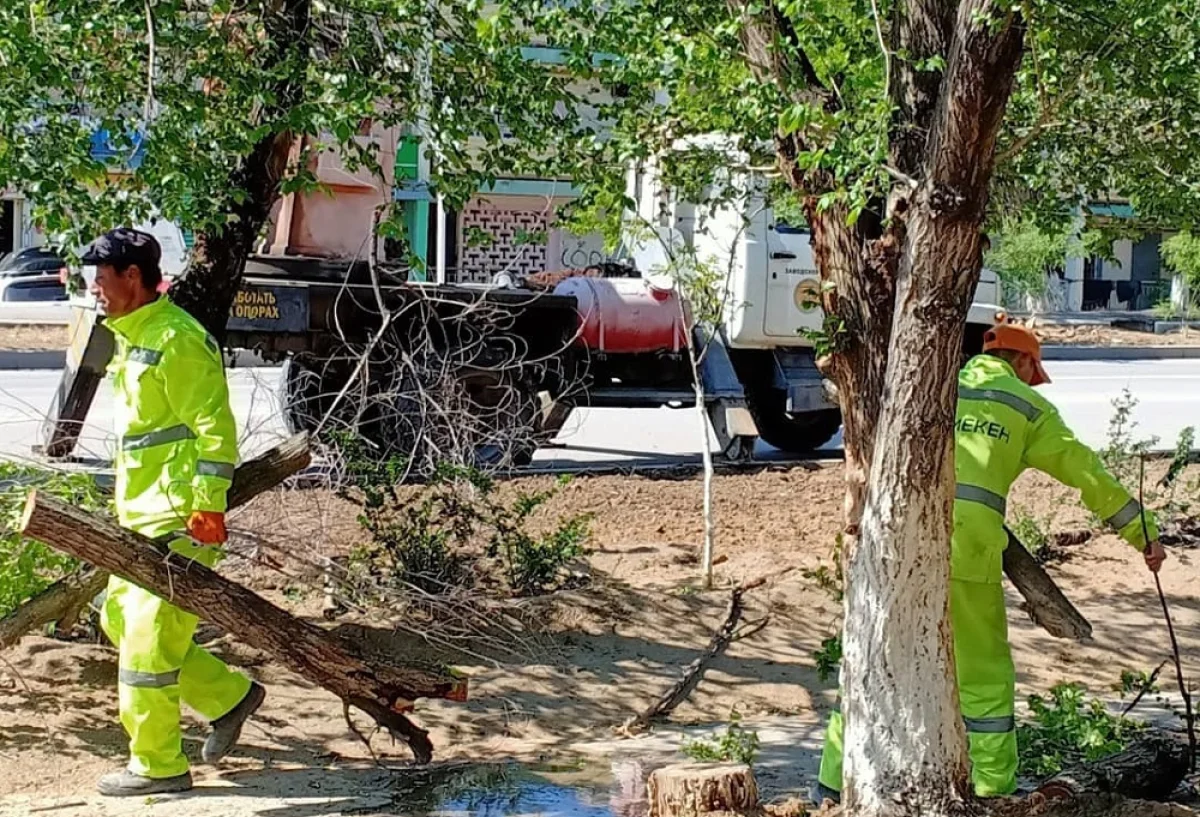 Иллюстративное фото со страницы ОО «Общество поддержки инвалидов «Атамекен»