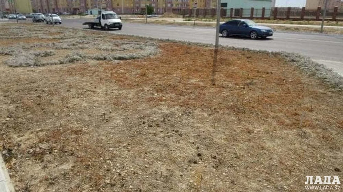 Фото из архива lada.kz