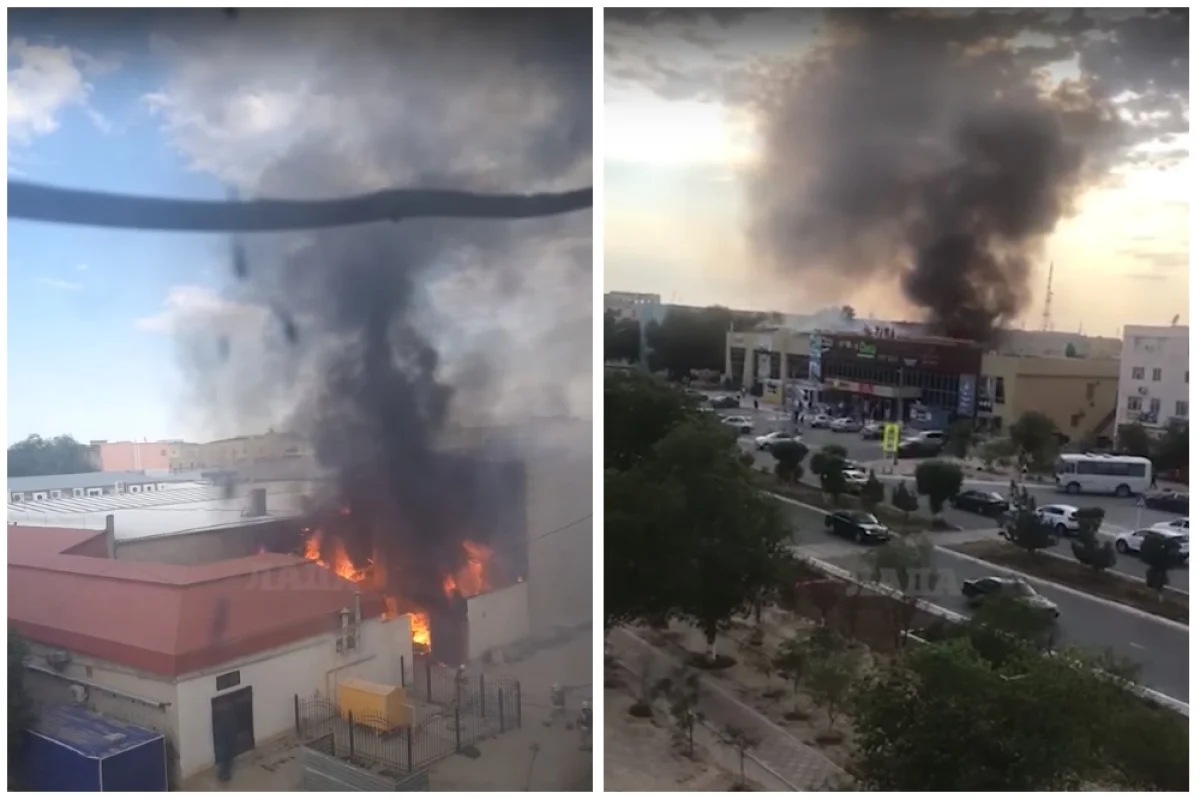 Коллаж из скриншотов видеоматериала