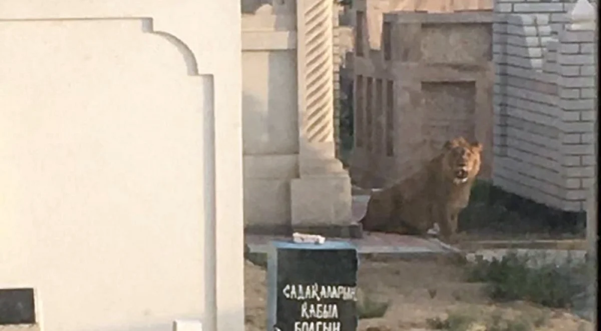 Фото очевидцев