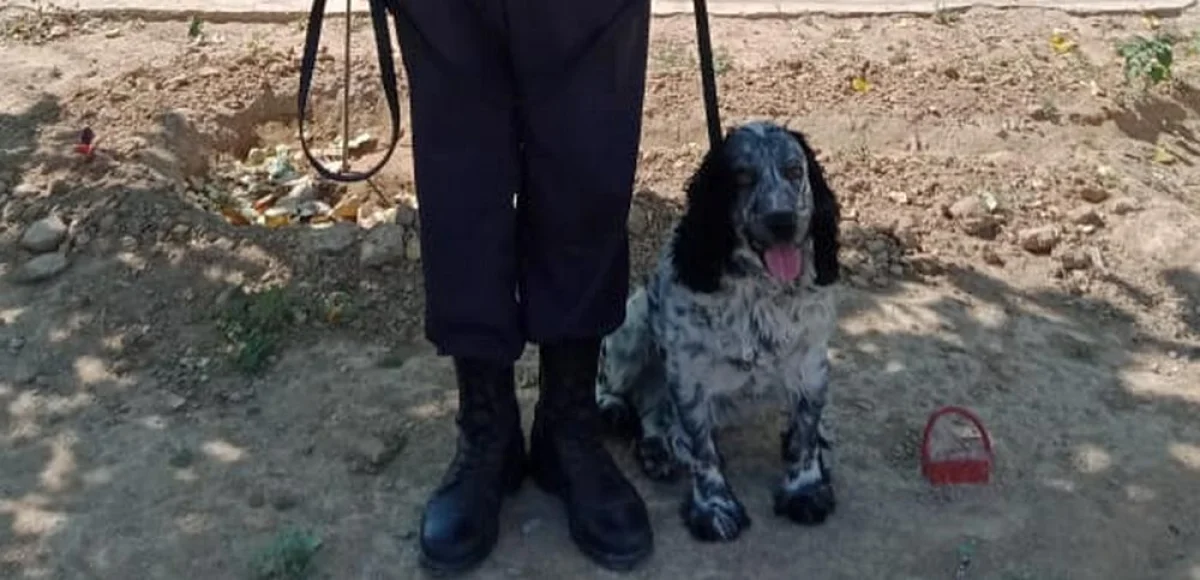 Фото пресс-службы РгК «Батыс» Национальной гвардии РК