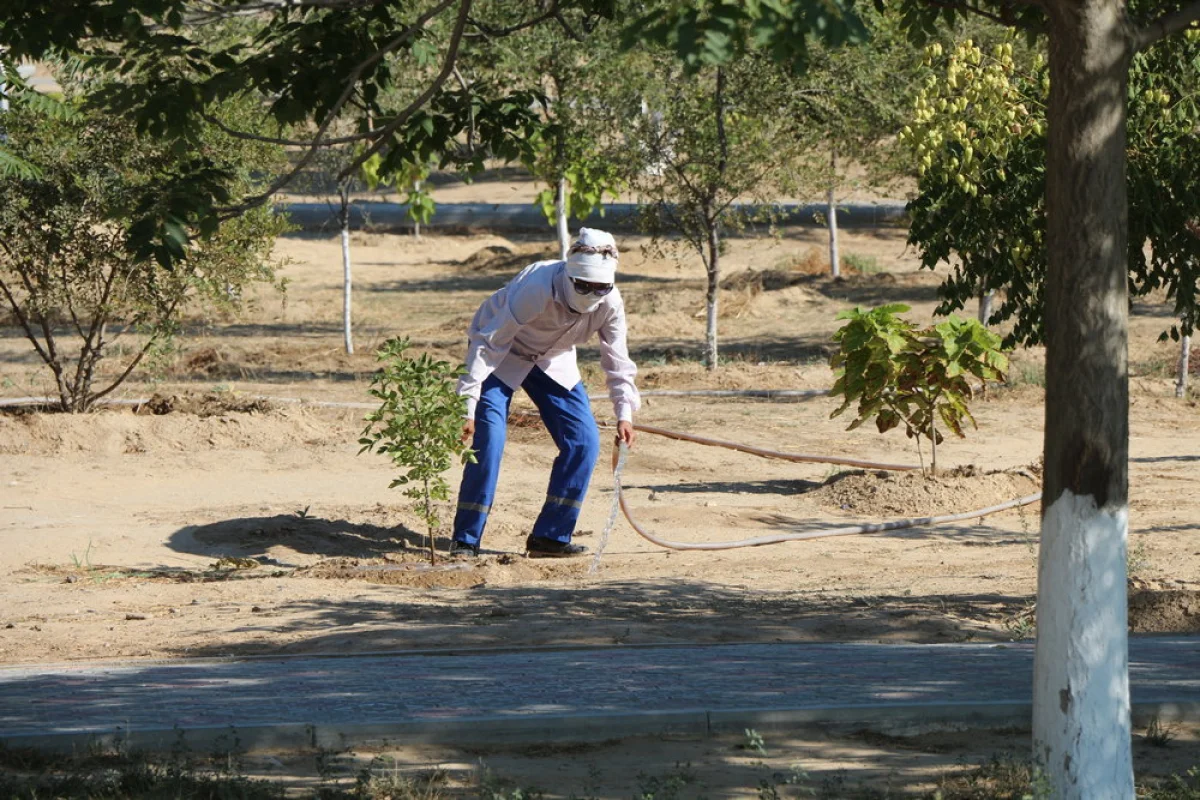 Фото Рашида Исмагилова